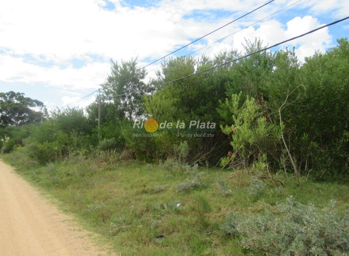 imagen  de la propiedad 142412