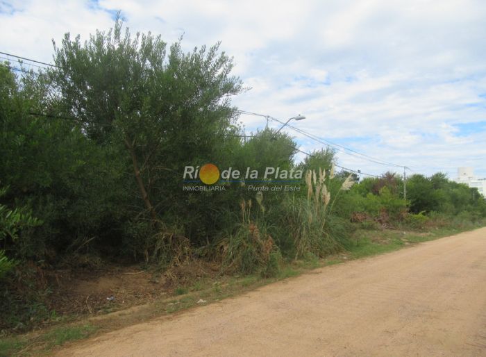 imagen  de la propiedad 142412