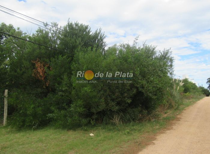 imagen  de la propiedad 142412