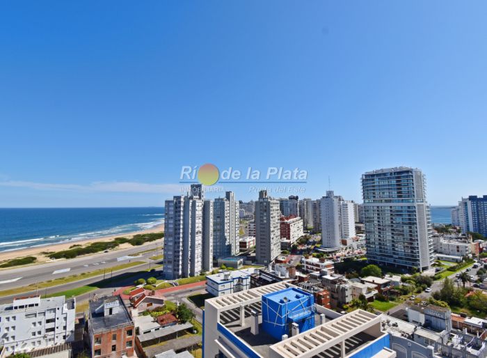imagen  de la propiedad 142437