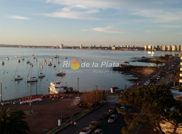 imagen  de la propiedad 142459