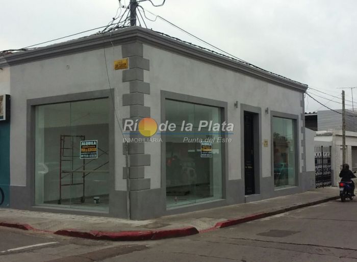 imagen  de la propiedad 142461
