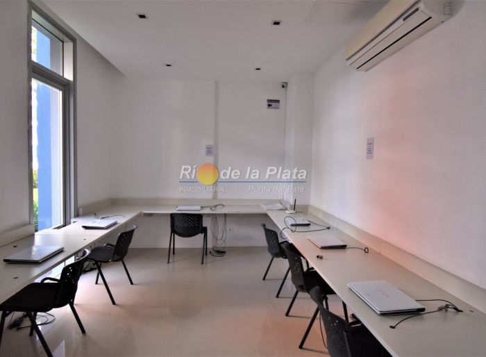 imagen  de la propiedad 142470