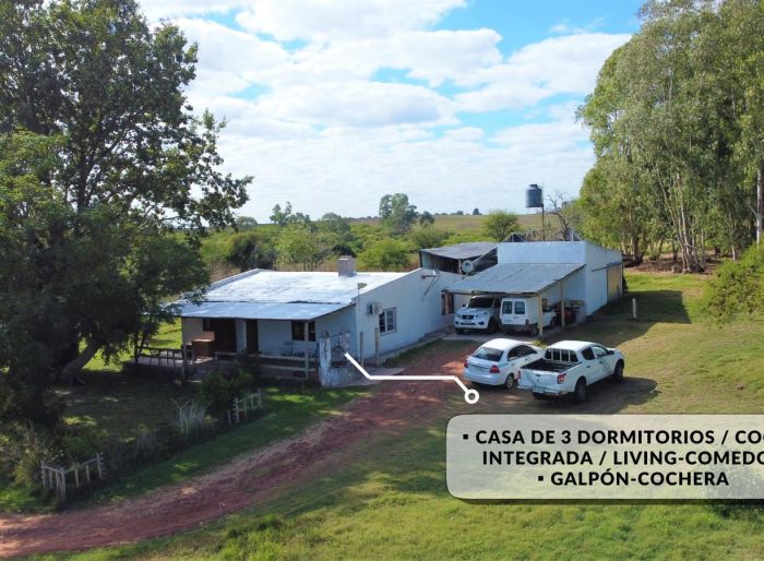 imagen  de la propiedad 141619