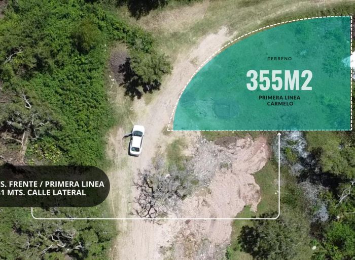 imagen  de la propiedad 141705