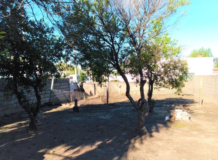imagen  de la propiedad 143072