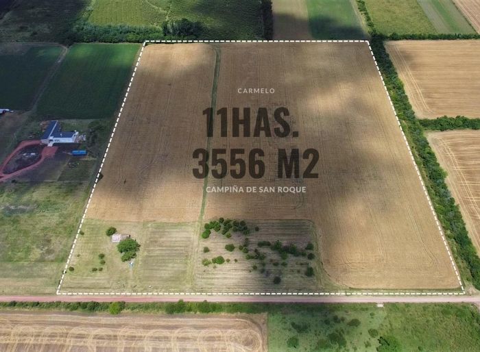 imagen  de la propiedad 143138