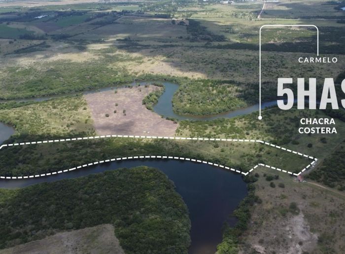imagen  de la propiedad 148619