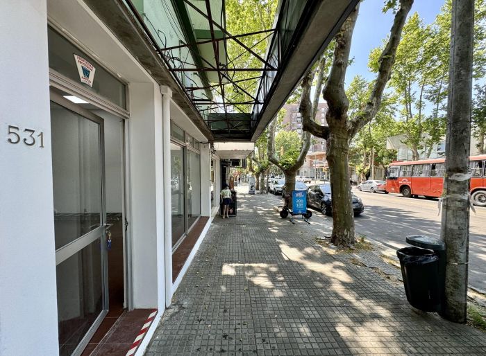 imagen  de la propiedad 157560