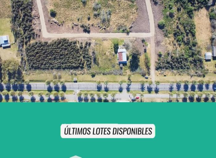 imagen  de la propiedad 175502