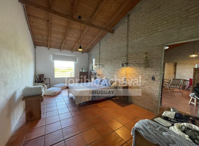 imagen  de la propiedad 149562