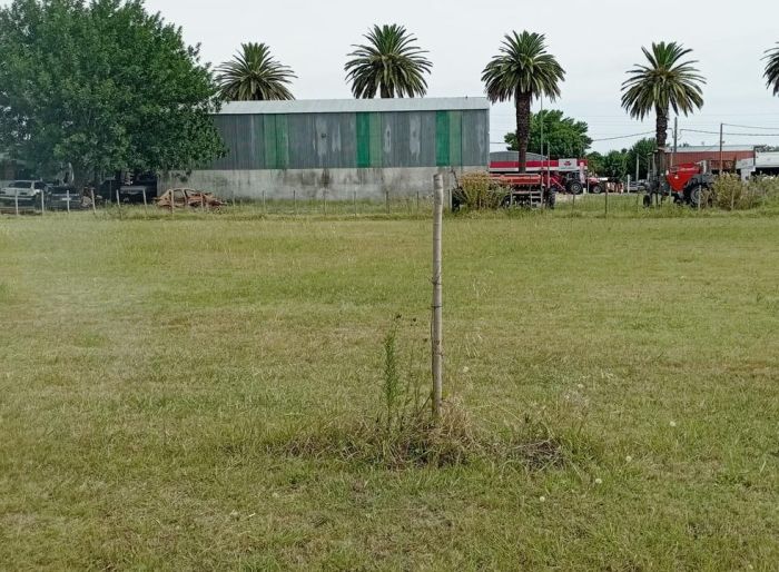 imagen  de la propiedad 150361