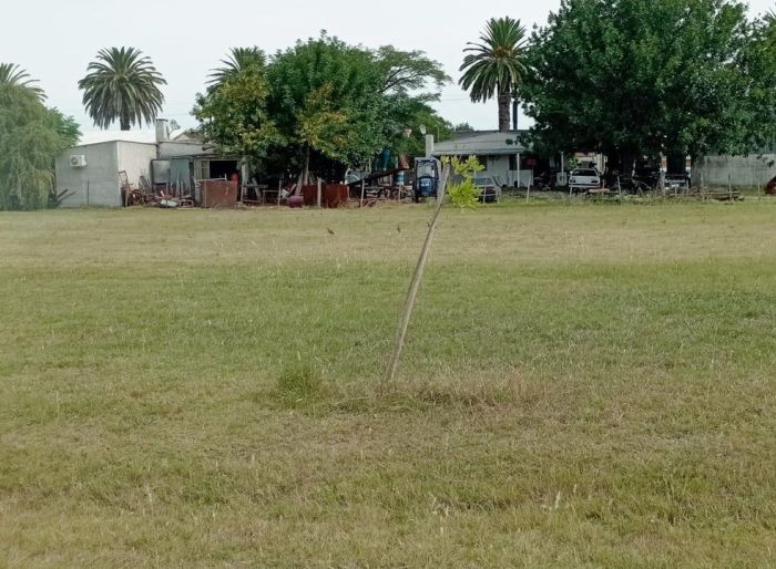 imagen  de la propiedad 150361