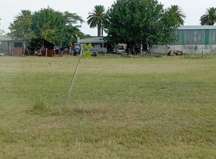 imagen  de la propiedad 150361