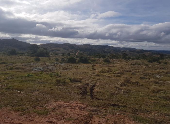 imagen  de la propiedad 156952