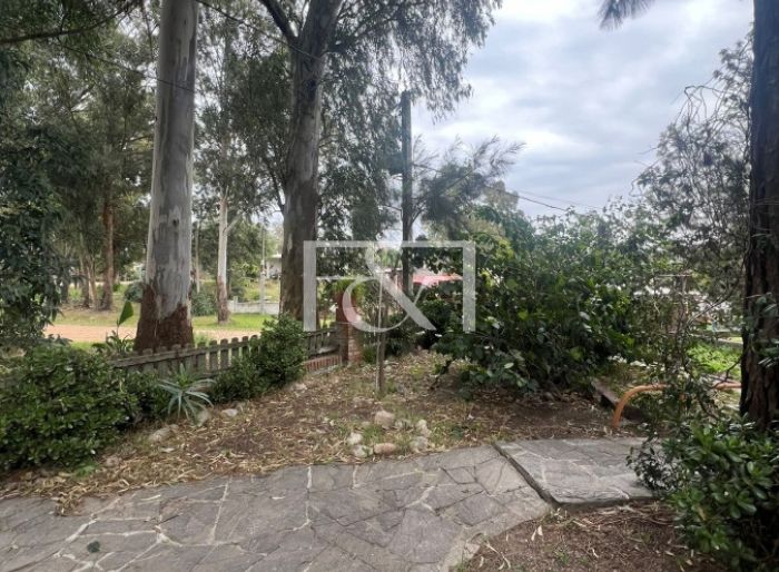 imagen  de la propiedad 152000