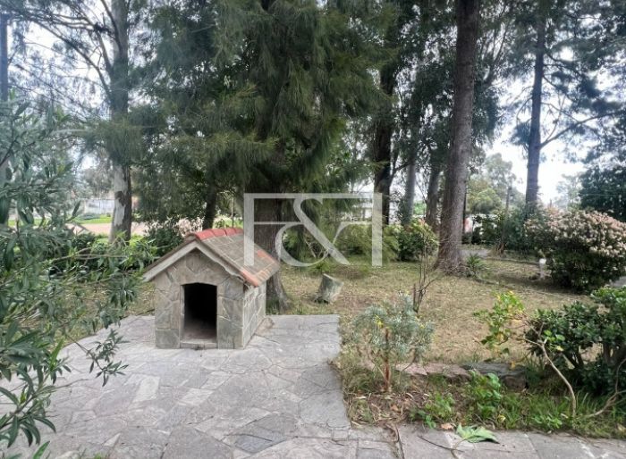 imagen  de la propiedad 152000