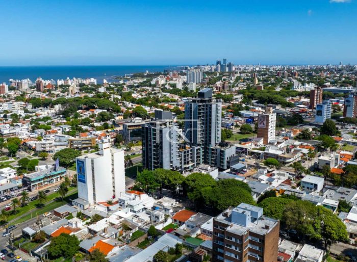 imagen  de la propiedad 171581