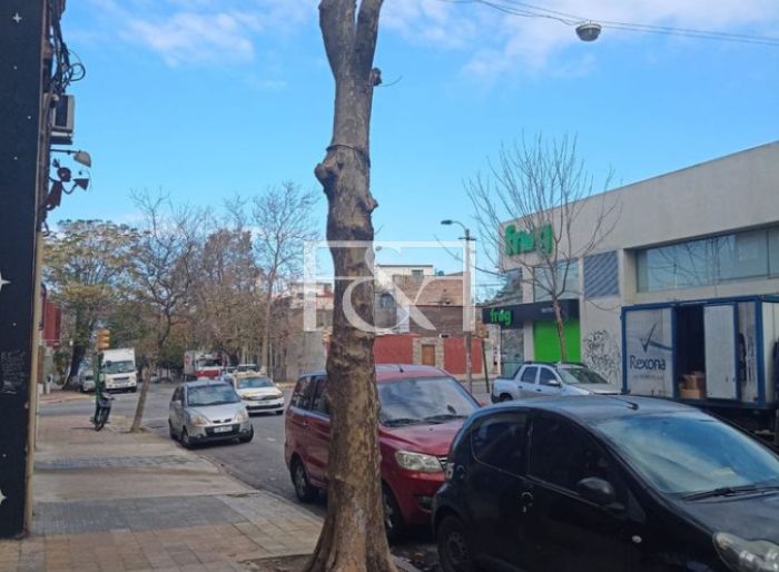 imagen  de la propiedad 172606