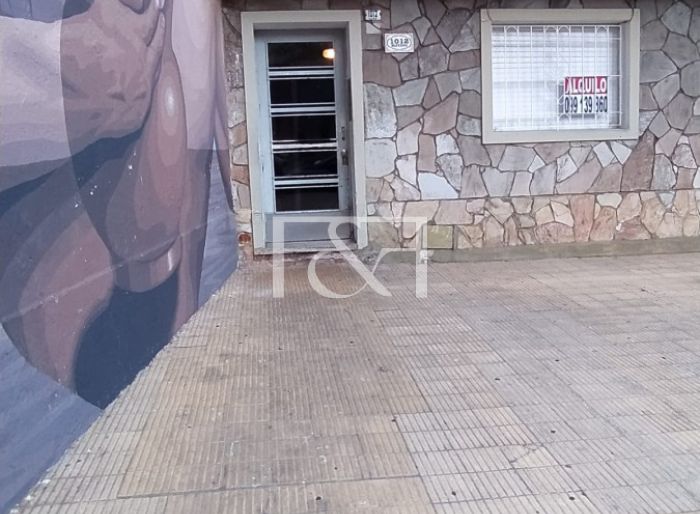 imagen  de la propiedad 172606