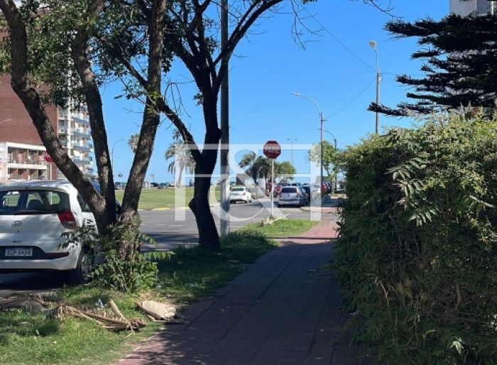 imagen  de la propiedad 175401