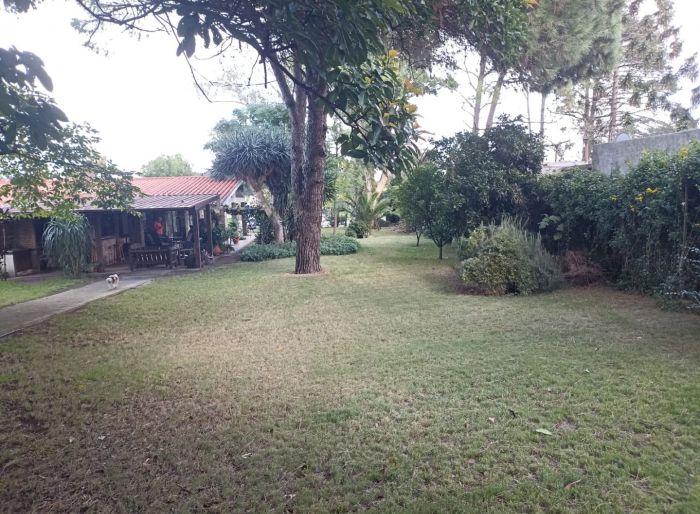imagen  de la propiedad 181646