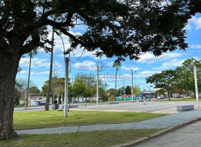 imagen  de la propiedad 186157