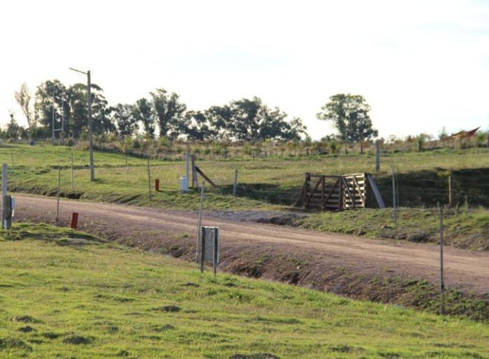 imagen  de la propiedad 152147