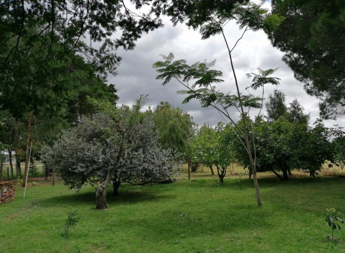 imagen  de la propiedad 152300