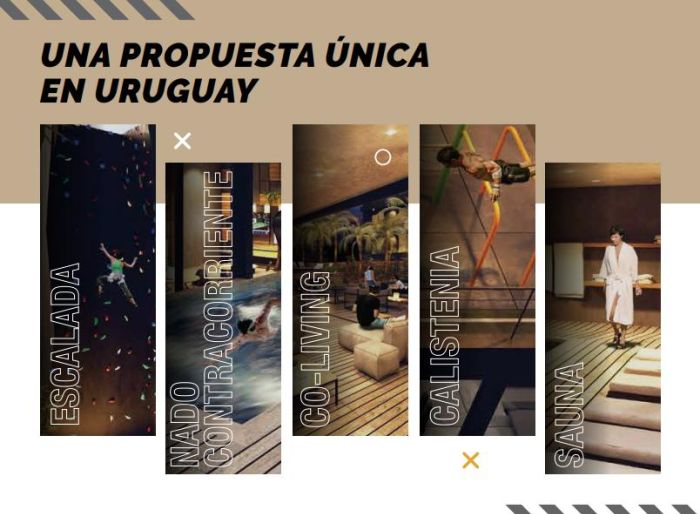 imagen  de la propiedad 152667