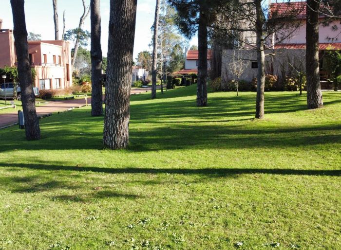 imagen  de la propiedad 178027