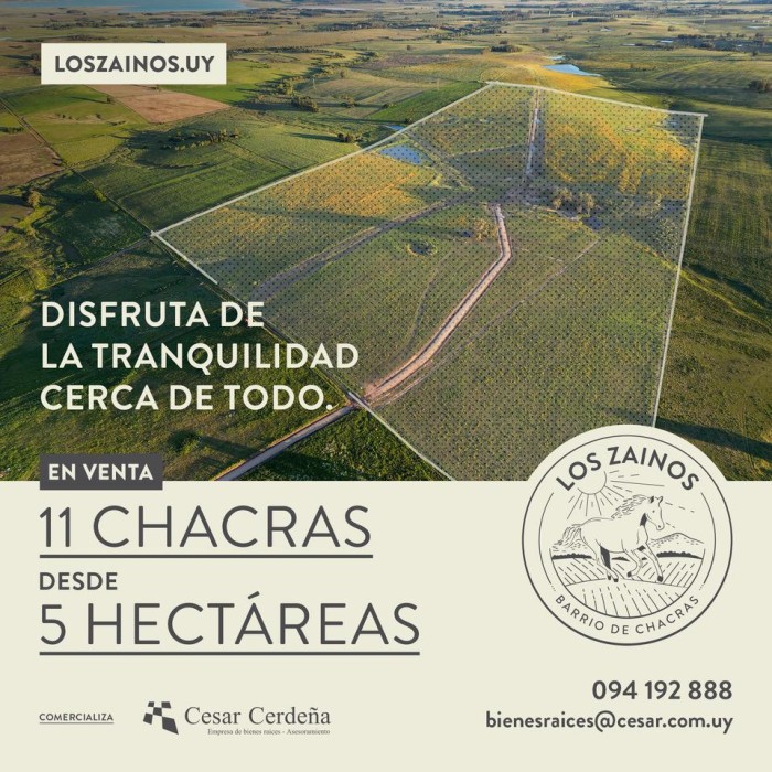 imagen  de la propiedad 173286