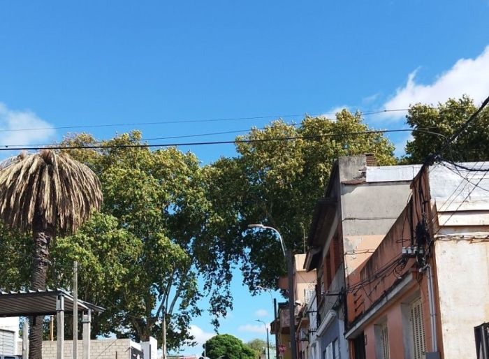 imagen  de la propiedad 169243