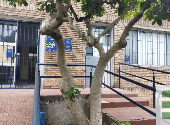 imagen  de la propiedad 169254