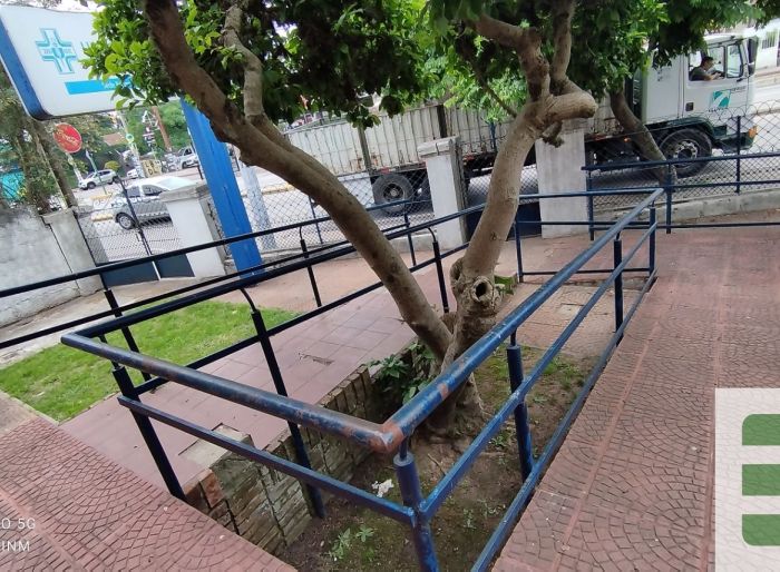 imagen  de la propiedad 169254