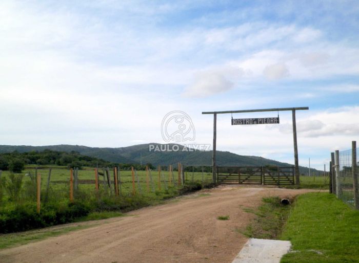 imagen  de la propiedad 169681