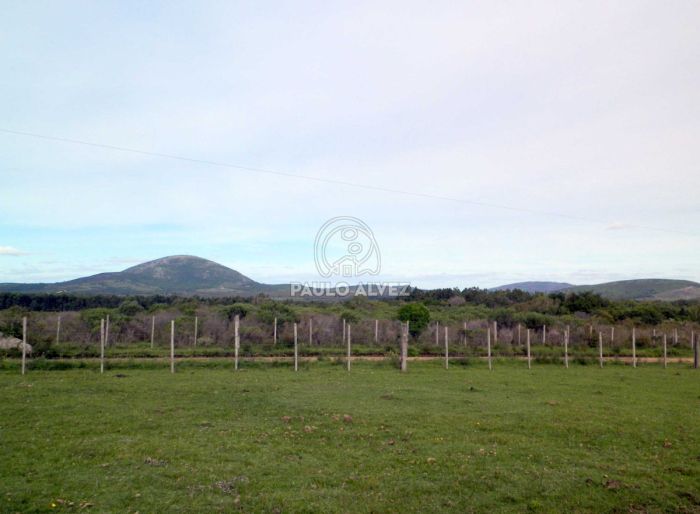 imagen  de la propiedad 169681