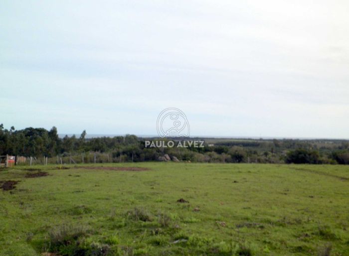imagen  de la propiedad 169681