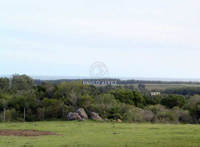 imagen  de la propiedad 169681