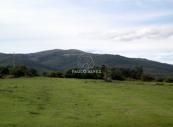 imagen  de la propiedad 169681