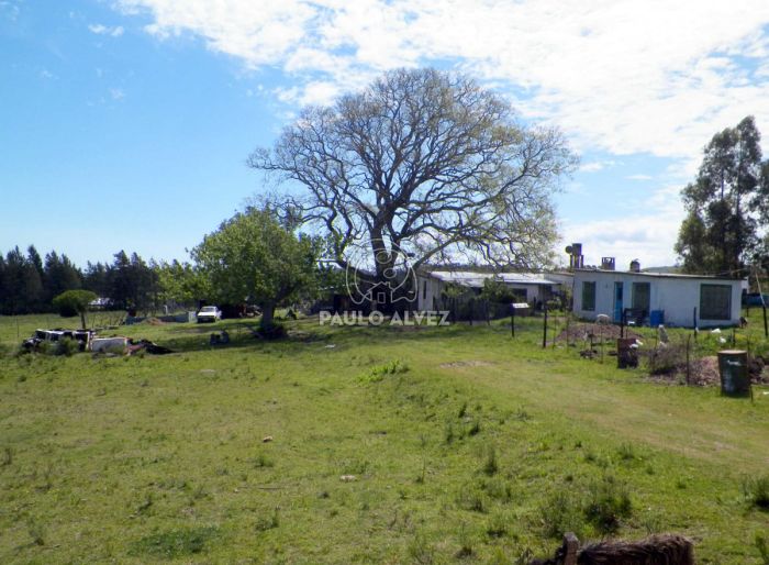 imagen  de la propiedad 169683