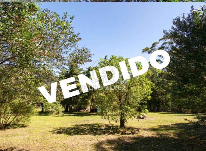 imagen  de la propiedad 169811