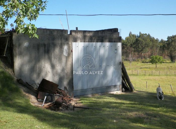 imagen  de la propiedad 169939
