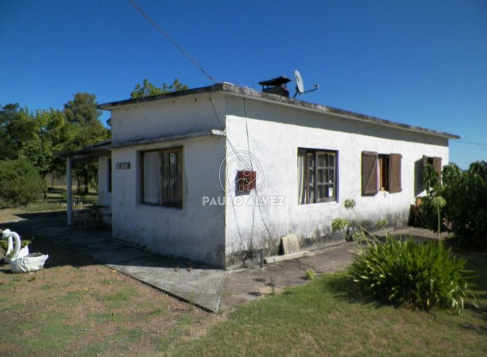 imagen  de la propiedad 169939