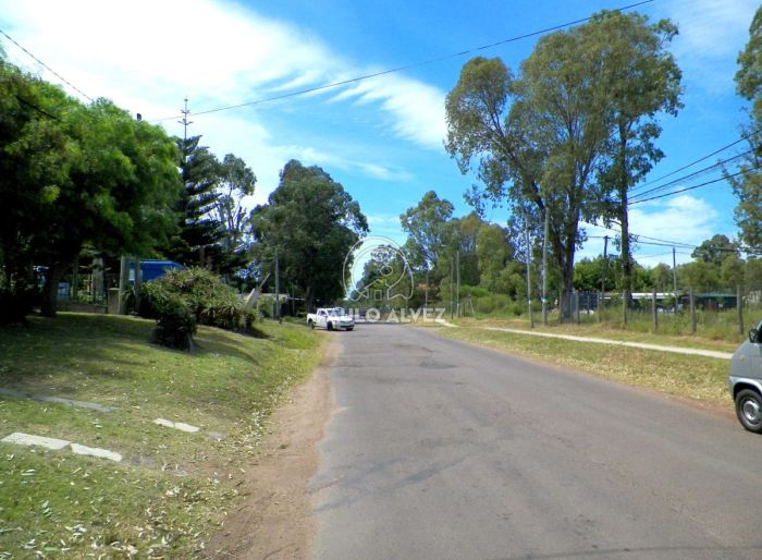 imagen  de la propiedad 169940