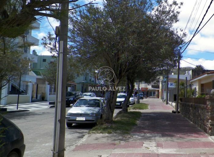 imagen  de la propiedad 169951