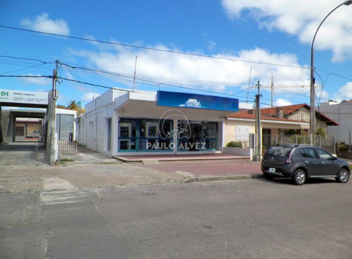 imagen  de la propiedad 169951