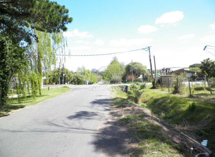 imagen  de la propiedad 169953
