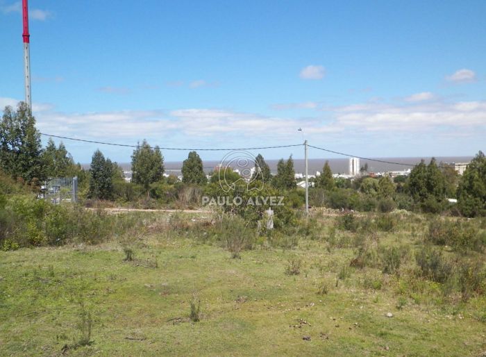 imagen  de la propiedad 169955