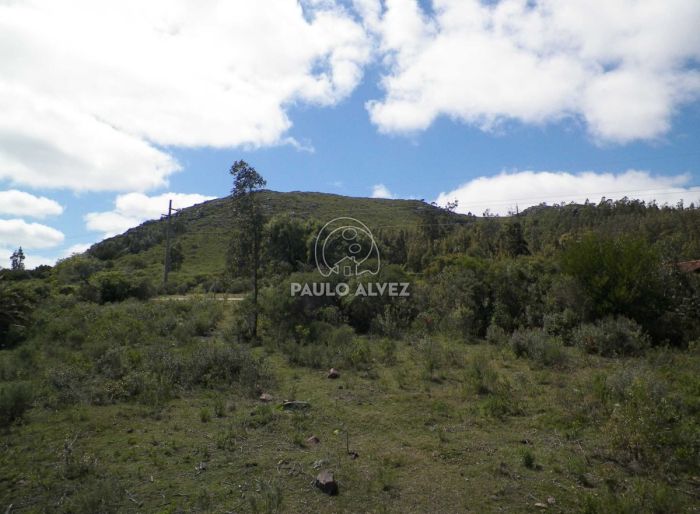 imagen  de la propiedad 169955